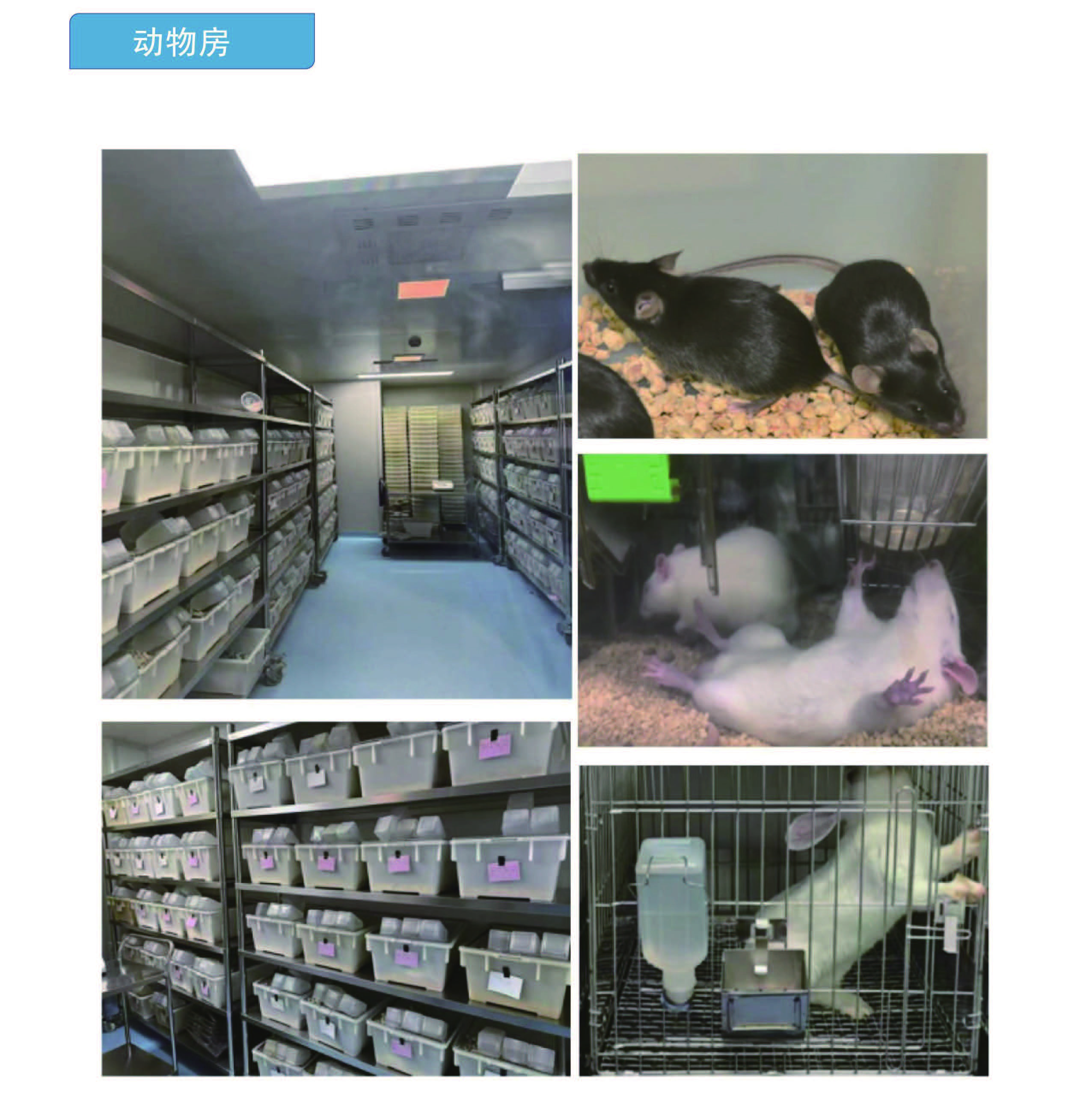 实验环境展示