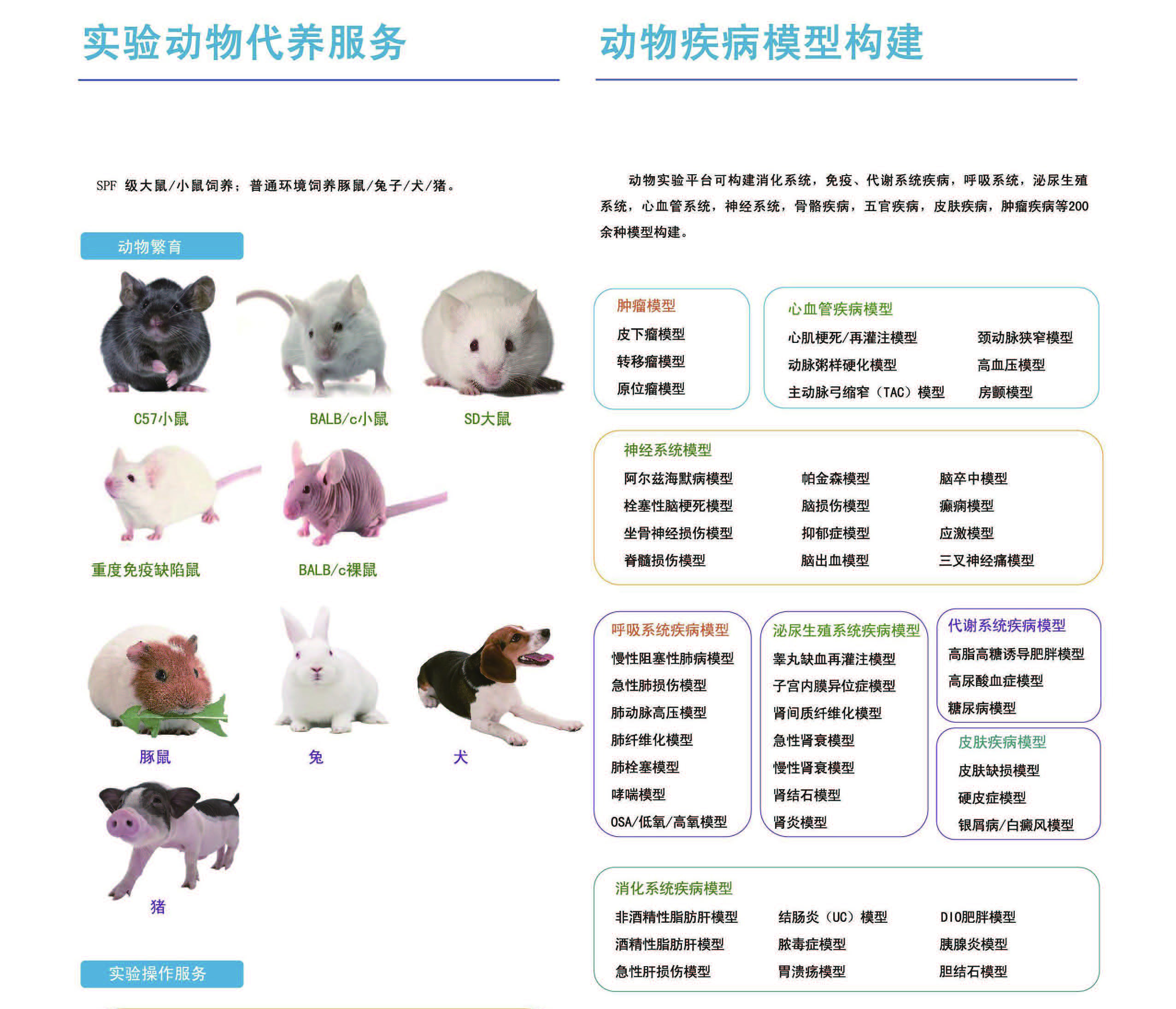 实验室科研环境