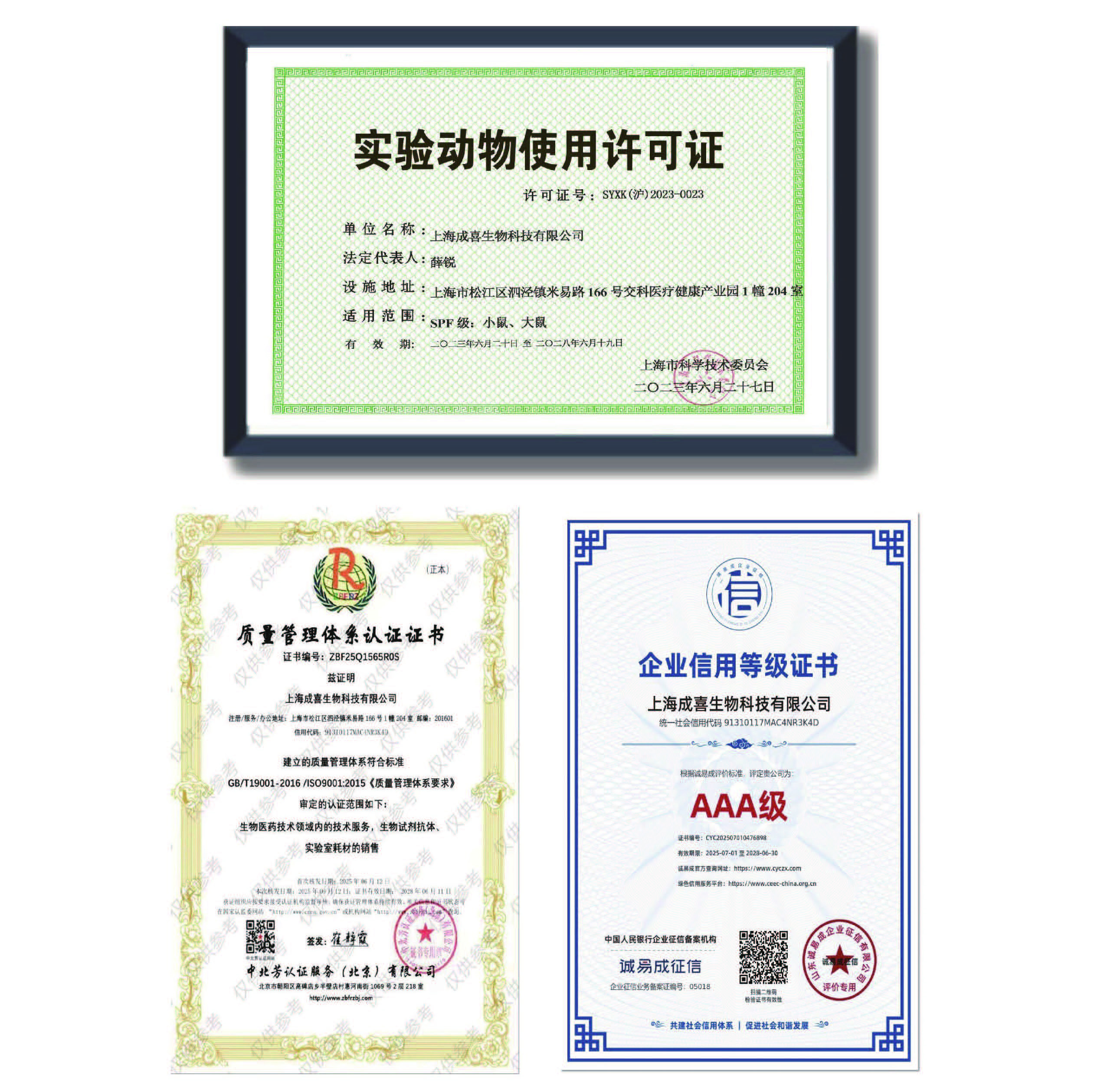 认证资质展示